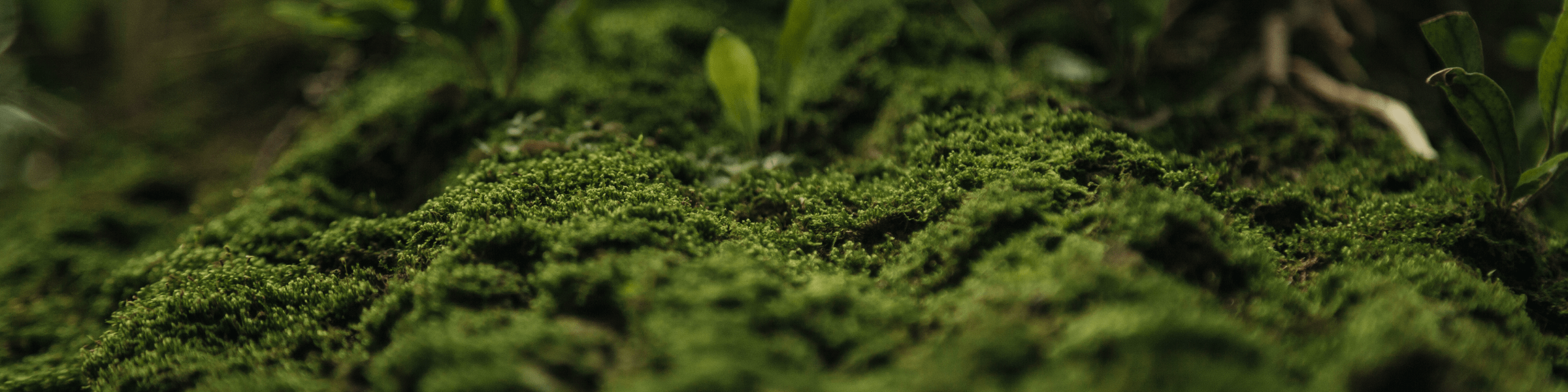 Green Impact - Ranch Computing